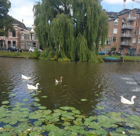 Bed and Breakfast Tamar 2