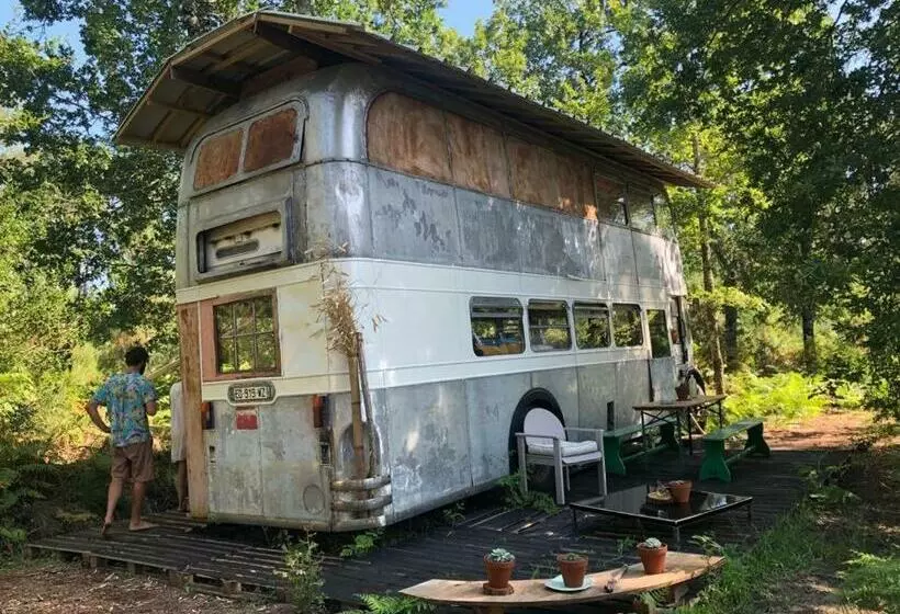 ホテル Cosmic English Bus 2 Floor