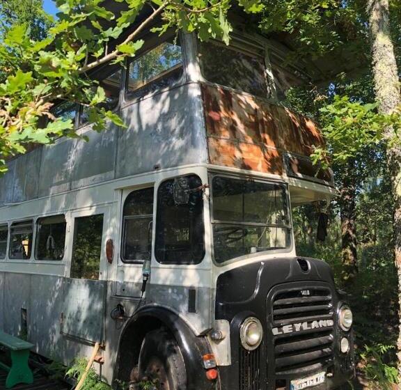 هتل Cosmic English Bus 2 Floor