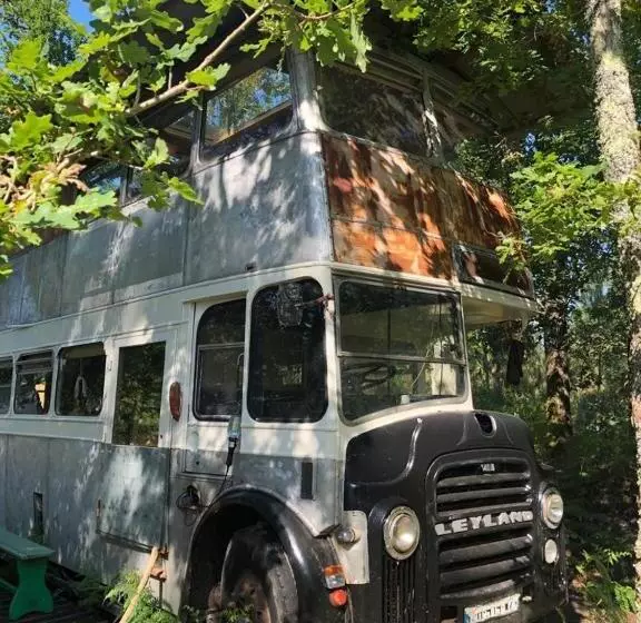 ホテル Cosmic English Bus 2 Floor