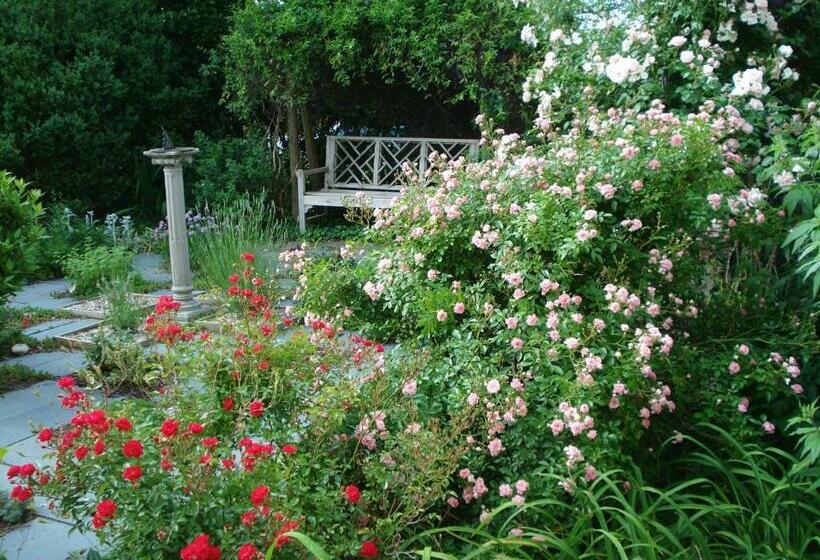 Newport House Bed & Breakfast