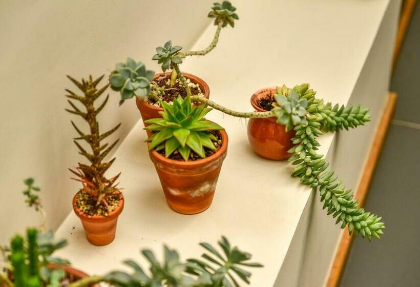 پانسیون Casa Melgar