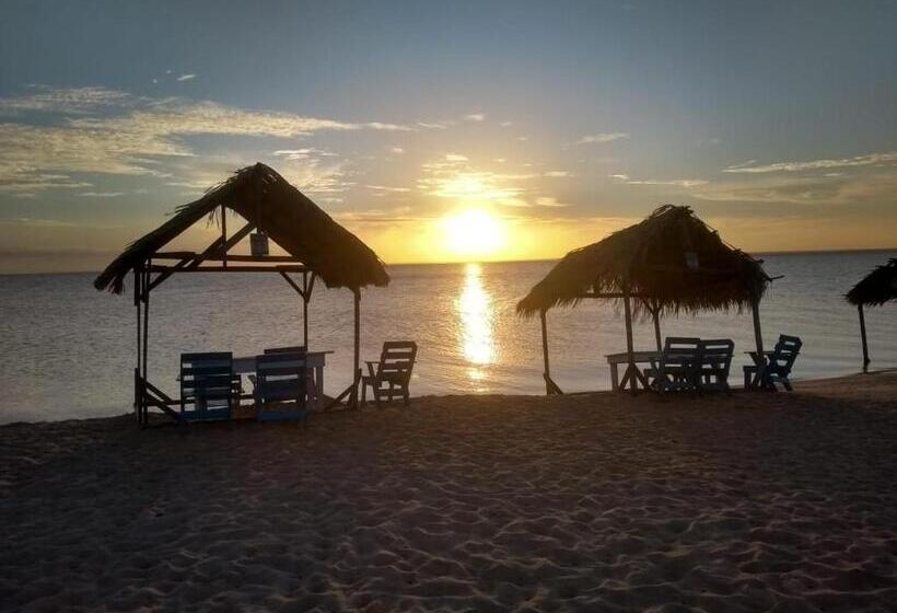Pension (Hôtel basse catégorie) Chalés Casa De Vidro