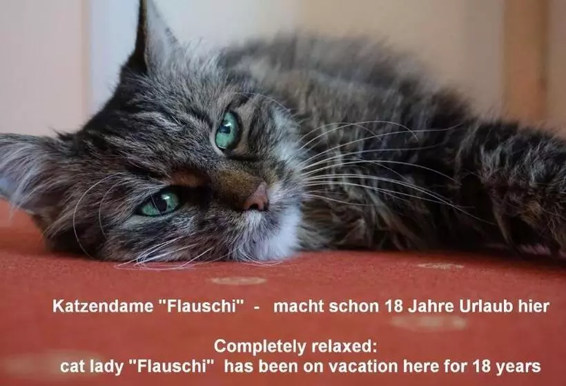 Majatalo Haus Am Trielberg