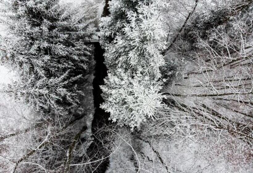 بنسيون Schlössje