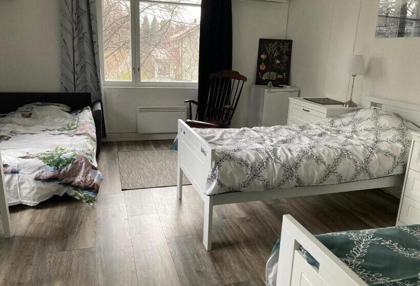 旅馆 Villa Saimaan Sydän