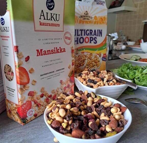 旅馆 Villa Saimaan Sydän