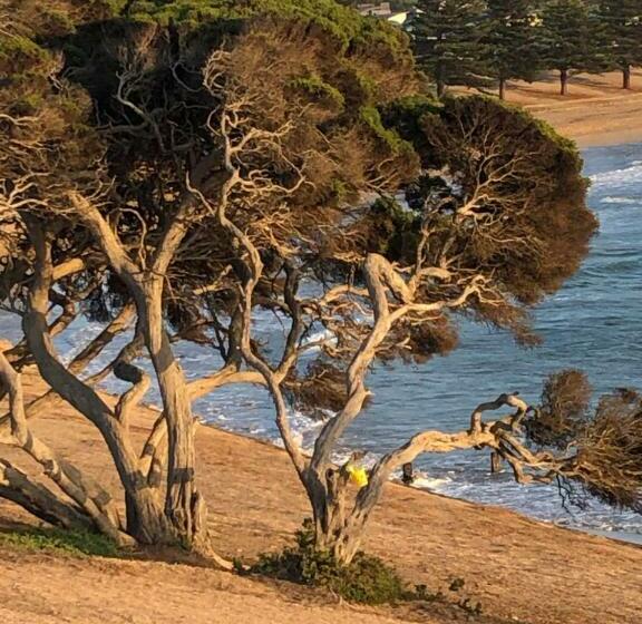 住宿加早餐 At The Gallery