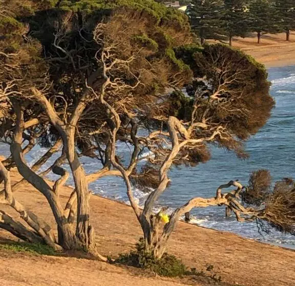 Aamiaismajoitus (B&B) At The Gallery