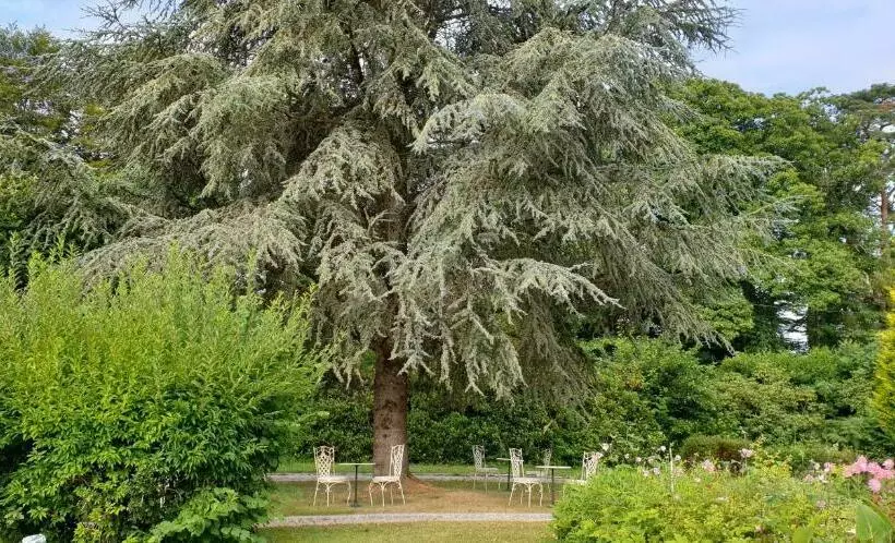 Aamiaismajoitus (B&B) Crown Roads