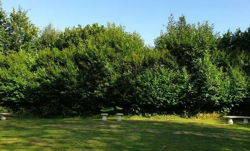 Aamiaismajoitus (B&B) Crown Roads