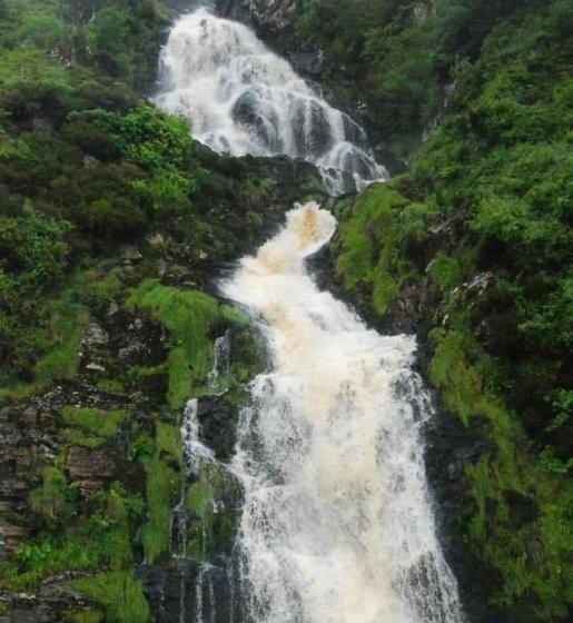 ベッドアンドブレックファースト Hillhead House, F94 F6n1