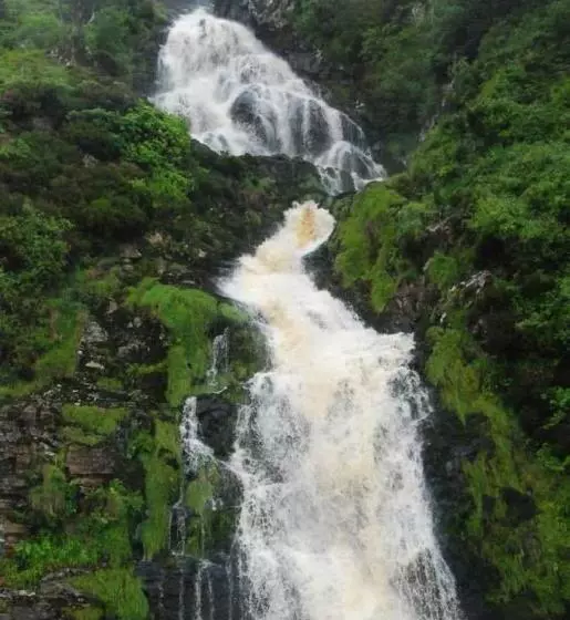 ベッドアンドブレックファースト Hillhead House, F94 F6n1