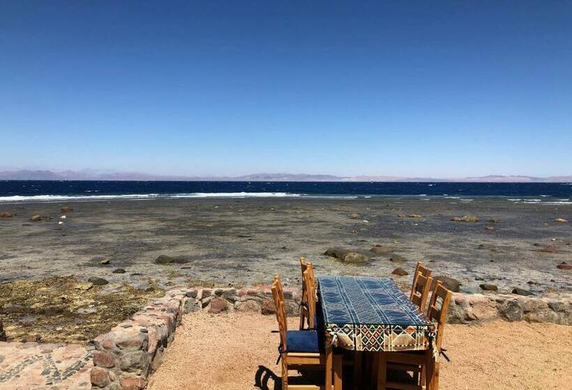 هتل Dahab Beach Lodge