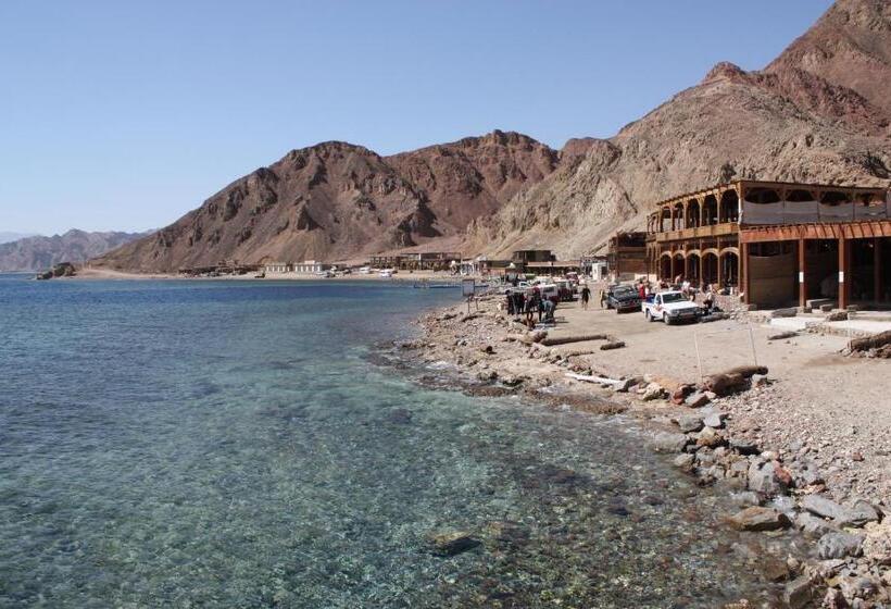 هتل Dahab Beach Lodge