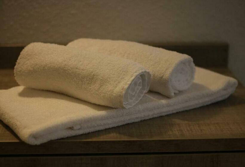 酒店 Zum Goldenen Bullen