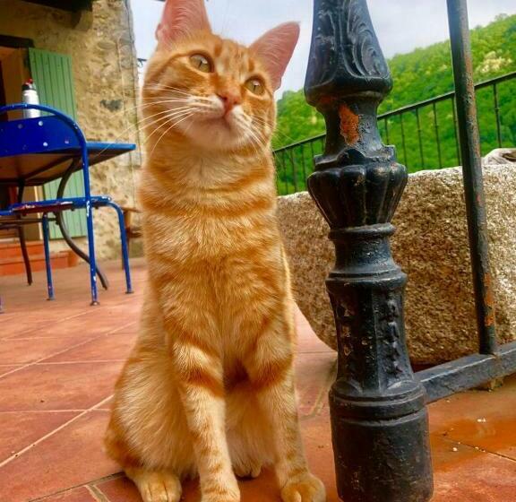 ベッドアンドブレックファースト Inlakesh