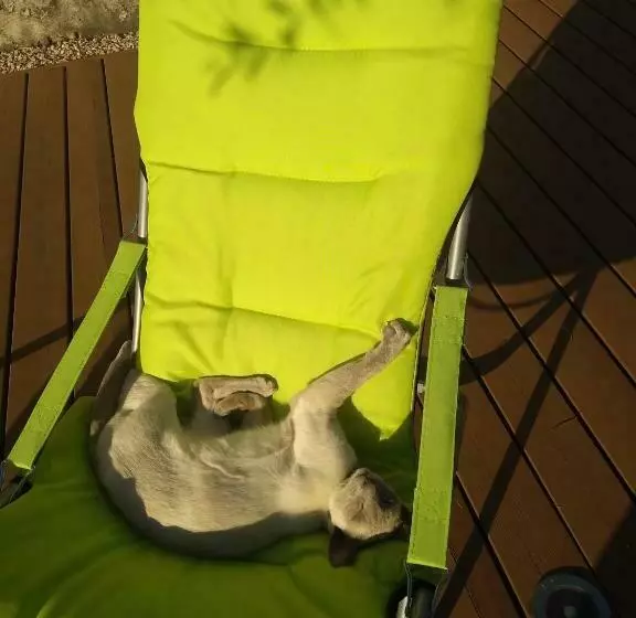 Aamiaismajoitus (B&B) La Chaumerie