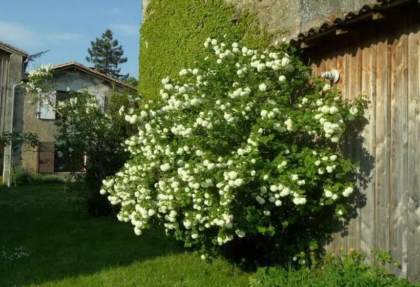 Aamiaismajoitus (B&B) U Campana