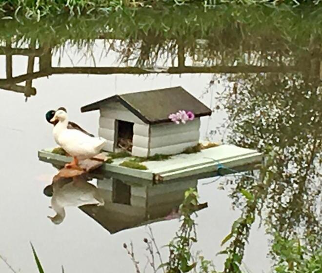 فندق The Hayloft Cheshire