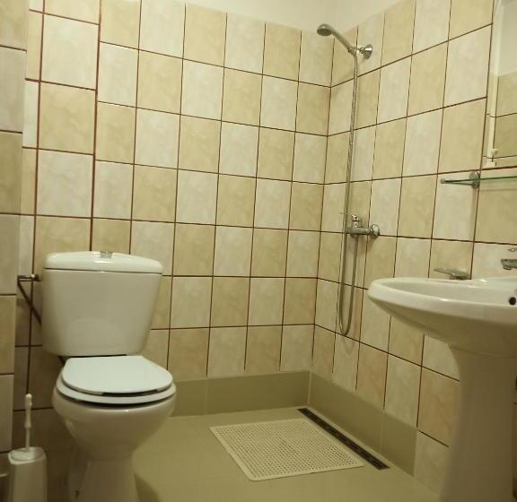 פנסיון Casa Rodica Str. Clabucetului 28