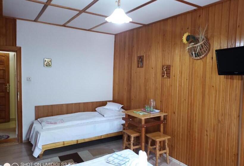 פנסיון Casa Rodica Str. Clabucetului 28