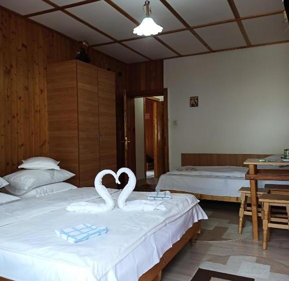 פנסיון Casa Rodica Str. Clabucetului 28