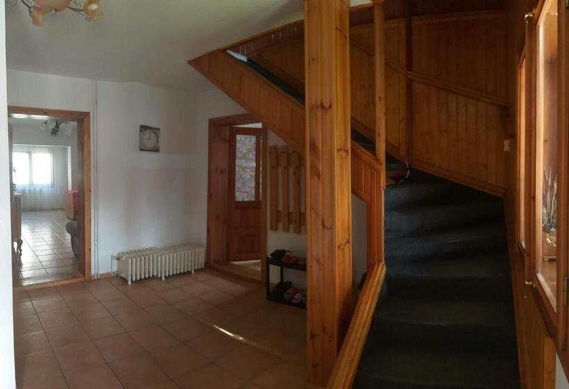 פנסיון Casa Rodica Str. Clabucetului 28