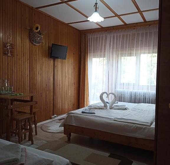 פנסיון Casa Rodica Str. Clabucetului 28