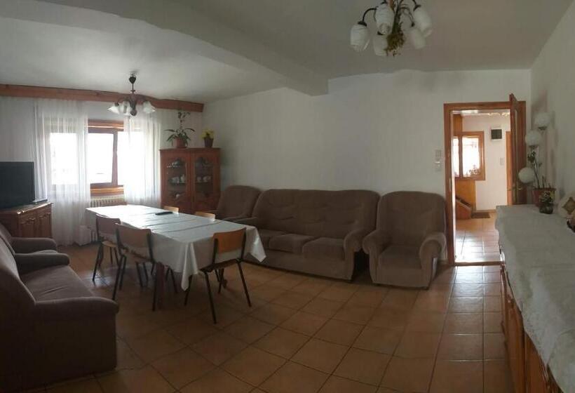 פנסיון Casa Rodica Str. Clabucetului 28