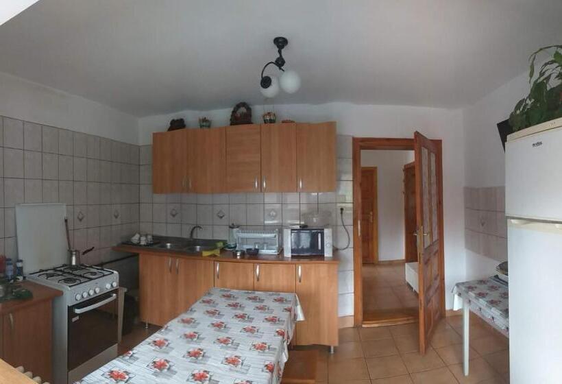 פנסיון Casa Rodica Str. Clabucetului 28