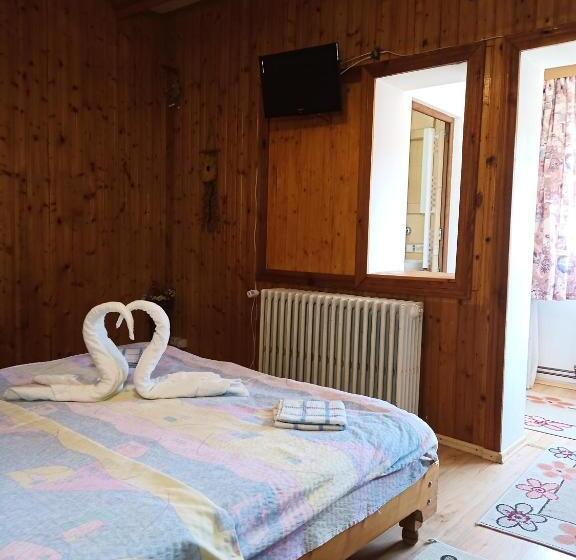 פנסיון Casa Rodica Str. Clabucetului 28