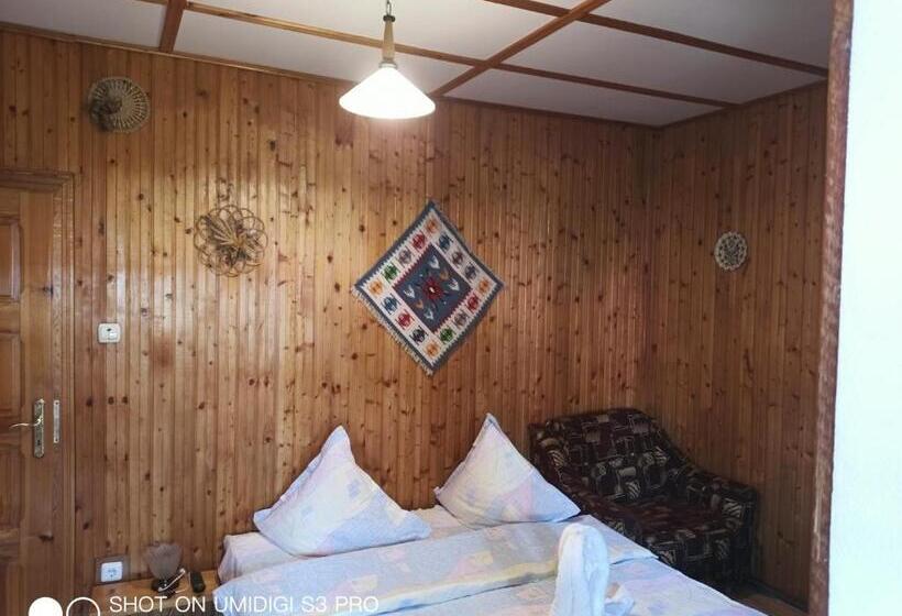 פנסיון Casa Rodica Str. Clabucetului 28