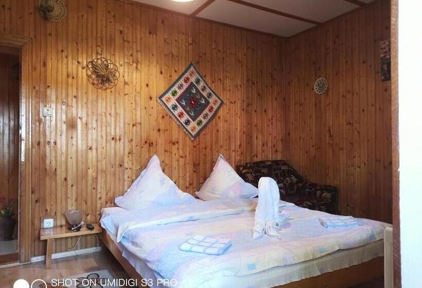 פנסיון Casa Rodica Str. Clabucetului 28