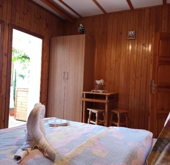 פנסיון Casa Rodica Str. Clabucetului 28