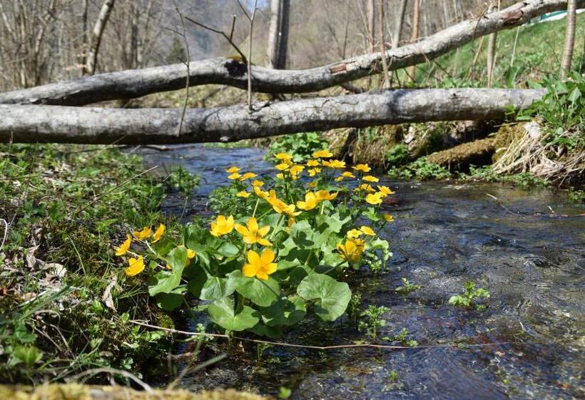 Gasthaus Pension Montafonerhüsli