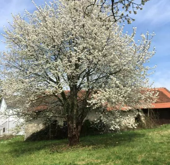 Majatalo Landhaus Grete