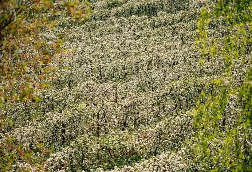 Majatalo Landhaus Grete