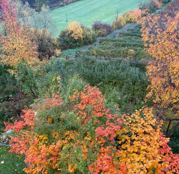 膳宿费 Landhaus Grete