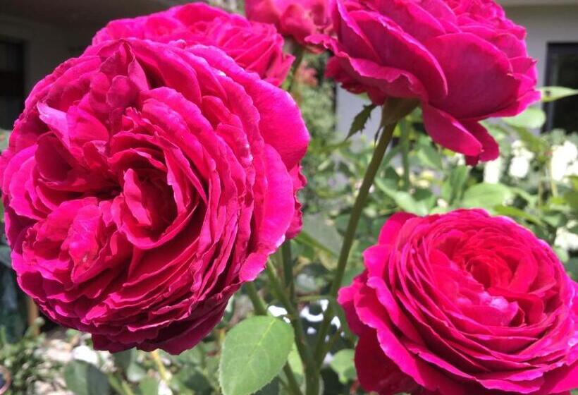 膳宿费 Landhaus Grete