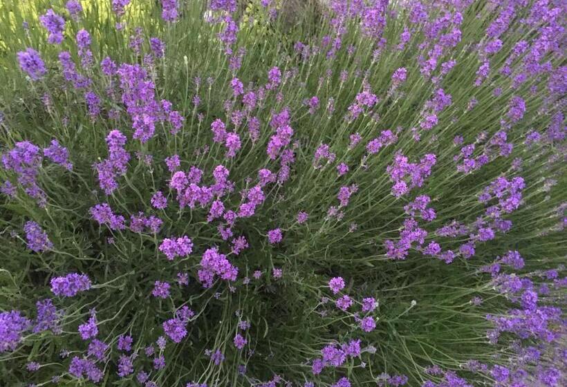 膳宿费 Landhaus Grete