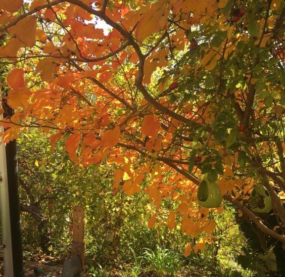 膳宿费 Landhaus Grete