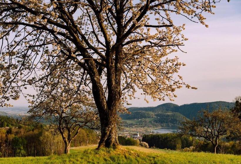 膳宿费 Landhaus Grete