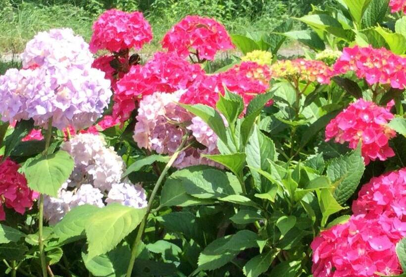 膳宿费 Landhaus Grete