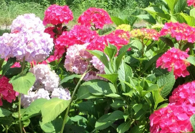 Majatalo Landhaus Grete