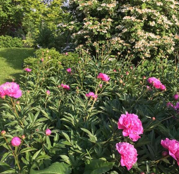 膳宿费 Landhaus Grete