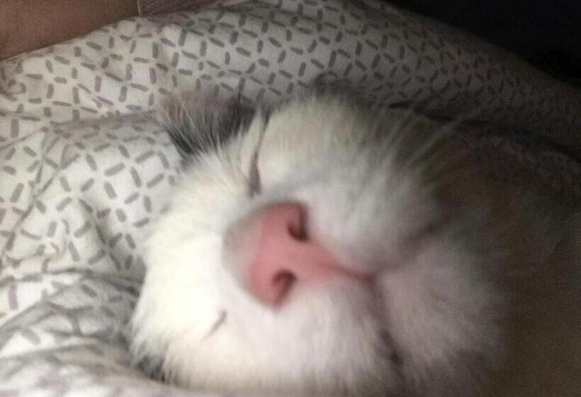 膳宿费 Landhaus Grete