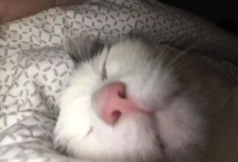 Majatalo Landhaus Grete