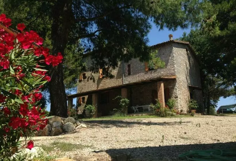 پانسیون Podere Barbi