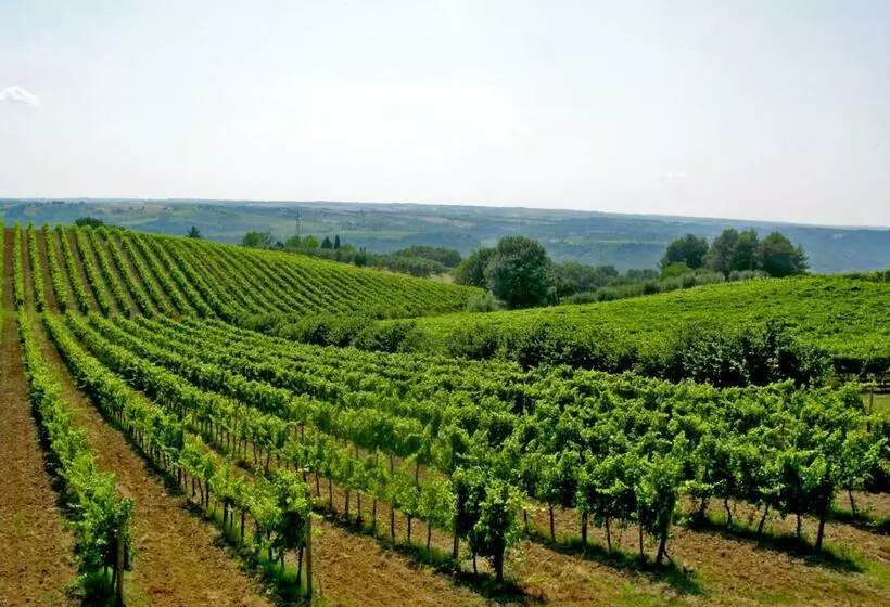 پانسیون Podere Barbi